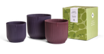 GIFT winery collection 14,16,18 multicolore